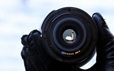 Foco: El 93% de los Triunfadores Atribuyen su Éxito a UNA Cosa: la Misma Para Todos