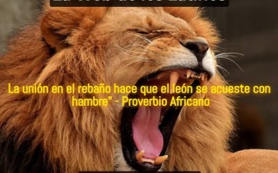 Dicen los que Saben que en la Unión Está la Fuerza. ¿Hablan en Serio?