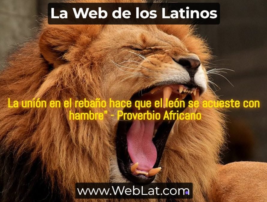 Dicen los que Saben que en la Unión Está la Fuerza. ¿Hablan en Serio?